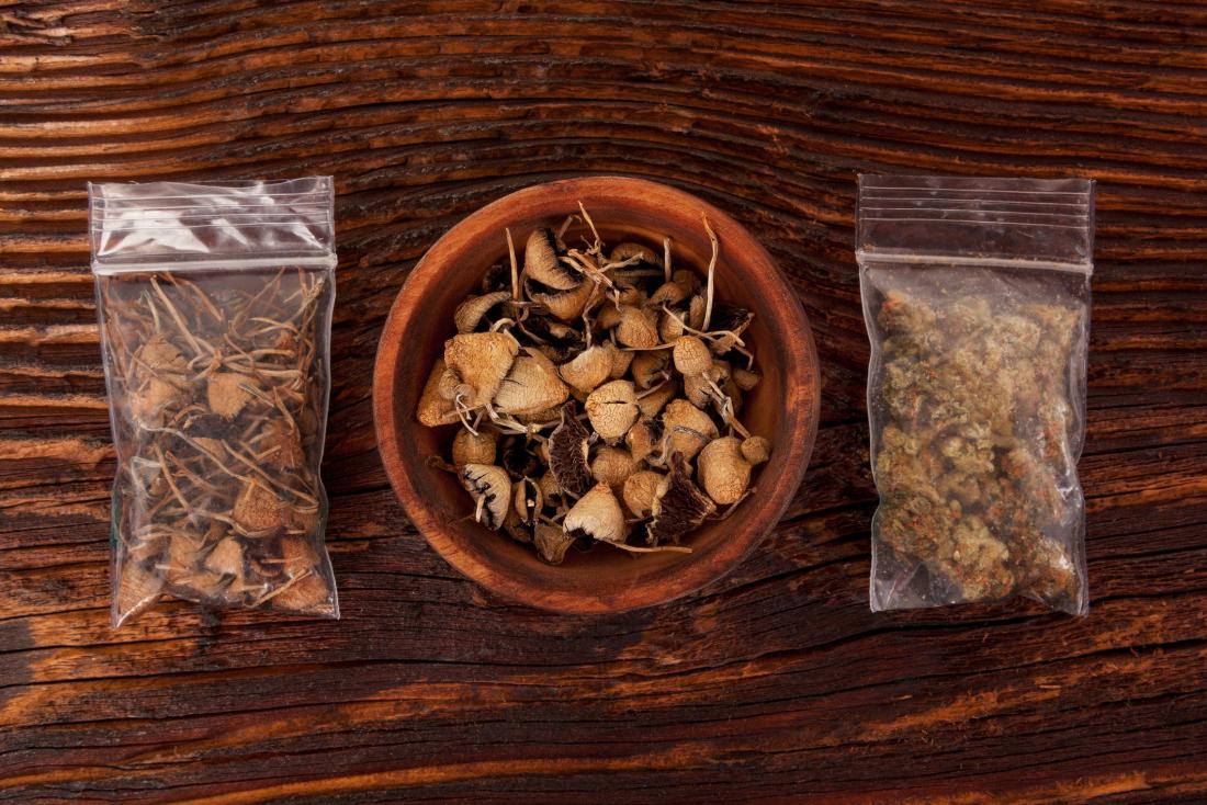 magic mushrooms on table in bags and in a bowl