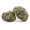 blueberrygasbulk
