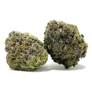 9lbhammerbulk 2
