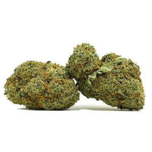 peacemakerbulk 1