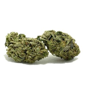 purplebubbabulk 1 1 1 1