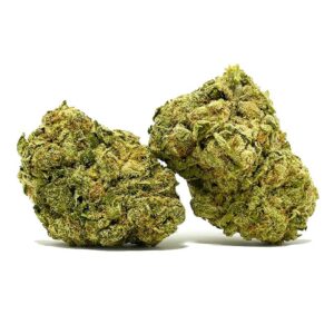 sourtangiebulk 1