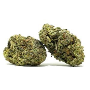 Tropic Moon AA 5 tropicmoonbulk 1 2