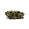 092022ZOMBIEKUSH