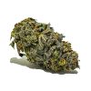 062522BIGSKUNK 1 1