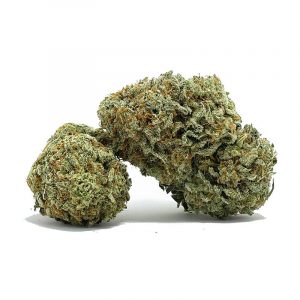 091422WHITEZOMBIE2