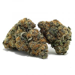 Bluefintunasep24bulk