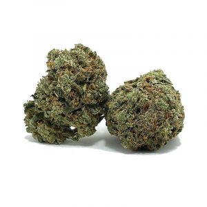 berrywhiteoct1bulk