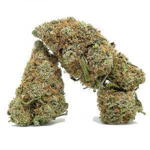 orangecreamsiclebulk