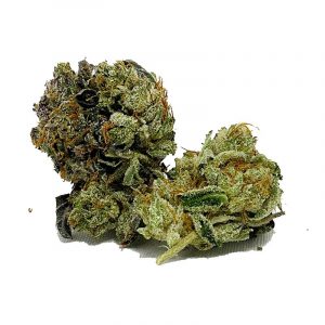 rockstarkusha2bulk