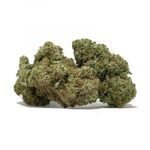islandkushbulkdec13