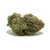 SO062923BRUCEBANNER