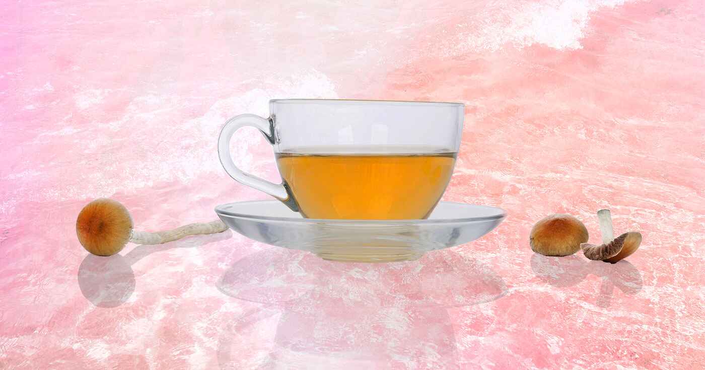 DoubleBlind how to make shroom tea SECONDARY
