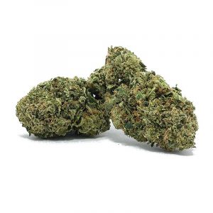 SO082823GREENCRACK2