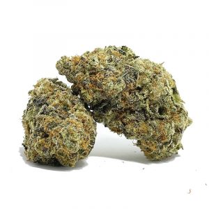091122BLUEDREAM2