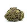 091422ORGANICSEAWARP