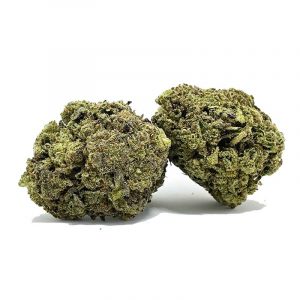 091422ORGANICSEAWARP2