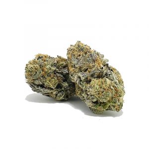 101522MAUI2 1