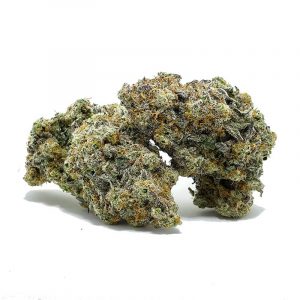 HiddenPastrySep23Bulk