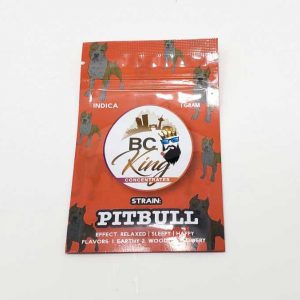 bckingpitbull 2