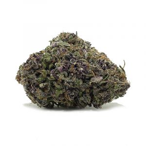 purple sour diesel strain