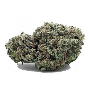 Critical Mass AAA
