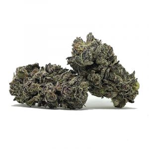 greasemonkeybulk042923SO