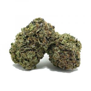 pinkcrackoct1bulk 1