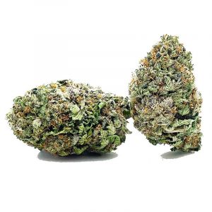 platinumbubbakushbulk 3