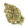 Candy Cane 1 1