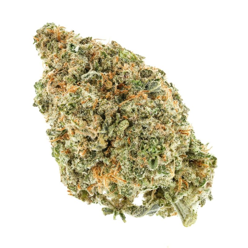 Candy Cane 1 1