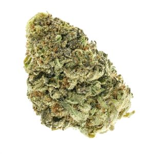 Gummy Shark (AAAA+)