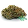 Acapulco Gold AAAA