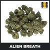 Alien-Breath