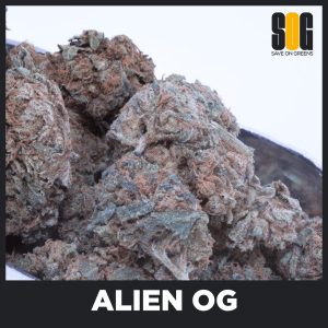 Alien OG