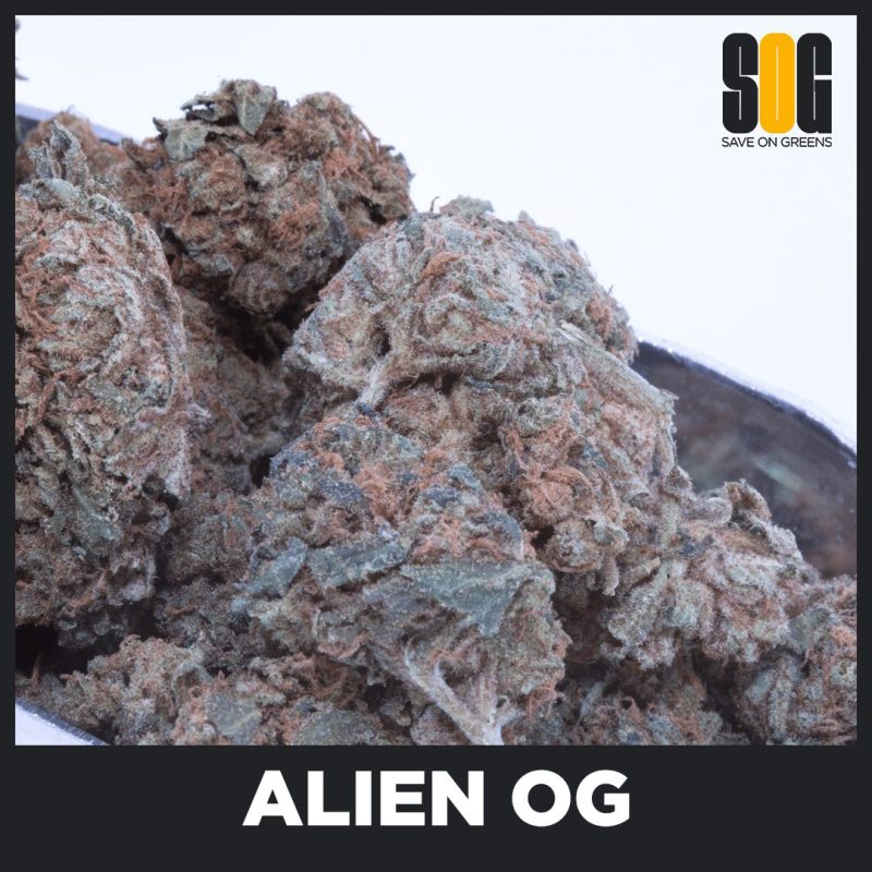 Alien OG
