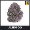 Alien OG