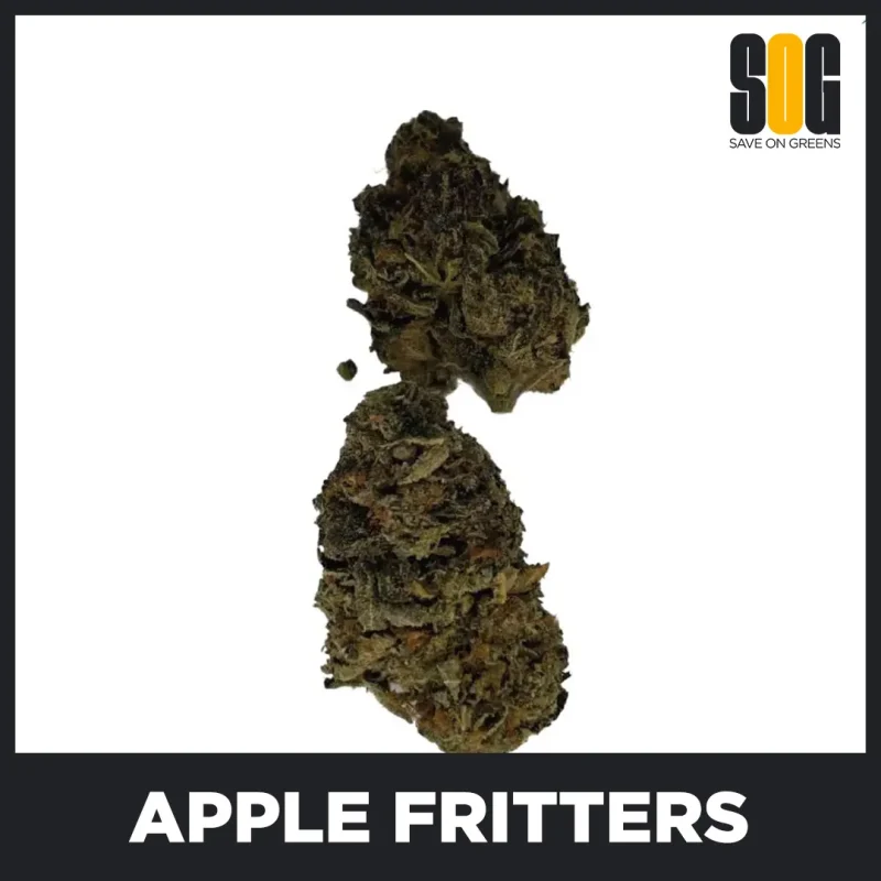 Apple Fritters