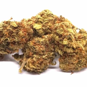 Apple Fritters