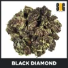 Black-Diamond-Bud