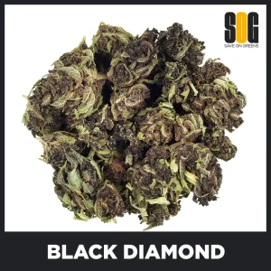 Black-Diamond-Bud