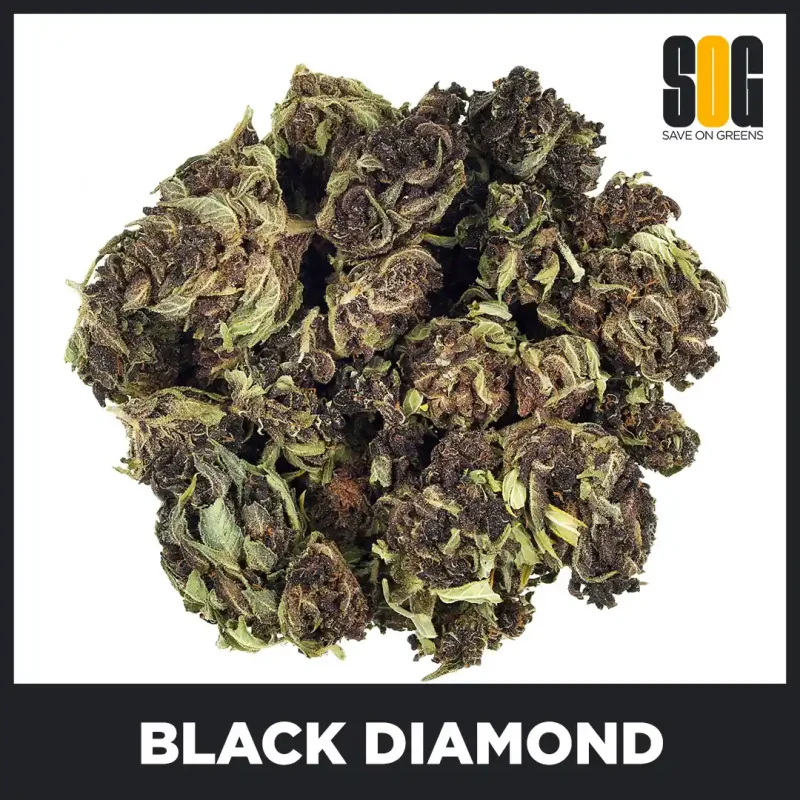 Black-Diamond-Bud