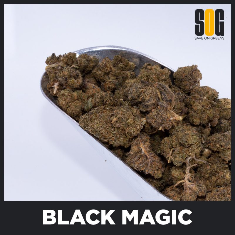 Black Magic