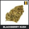 Blackberry Kush single 1