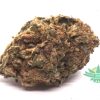 Blacknuken 1