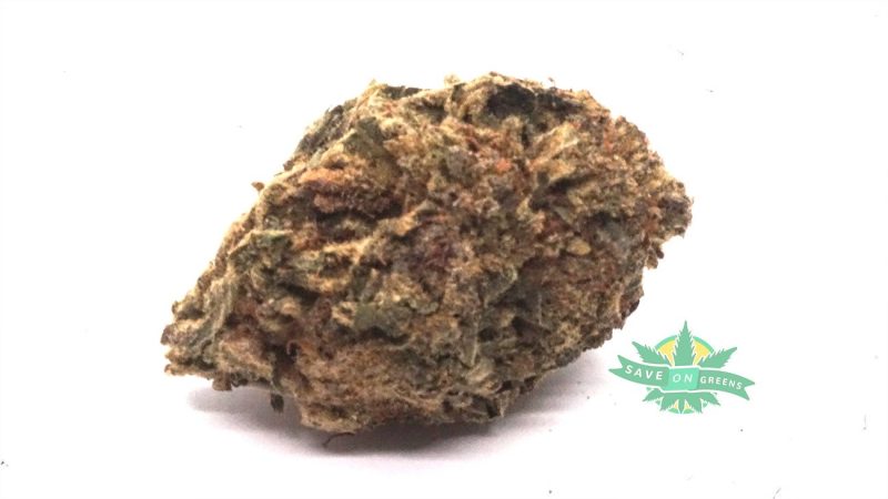 Blacknuken 1