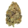 Blueberry Mac