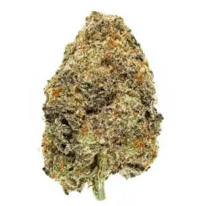 Blueberry Mac