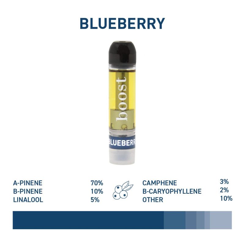 BlueberryProfile1