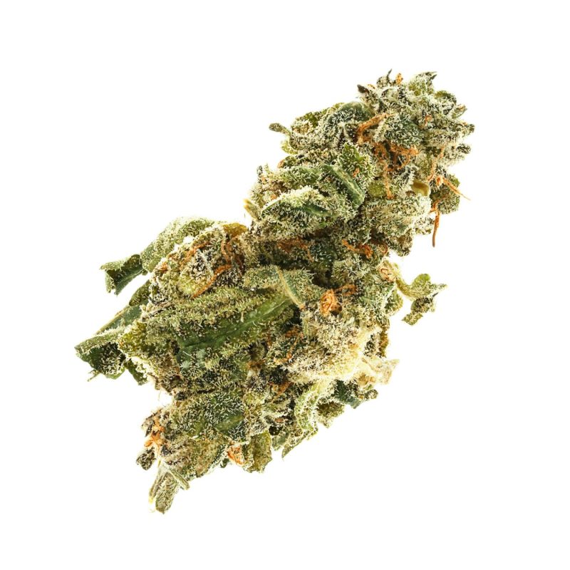 Bubba Kings S